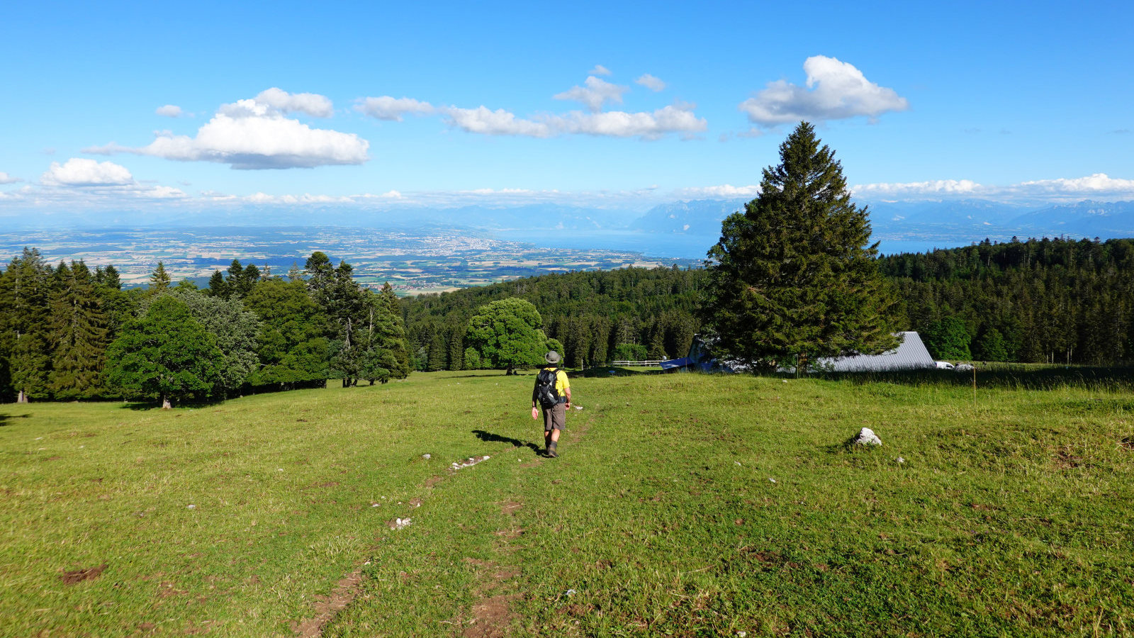 course verticale du mont-tendre