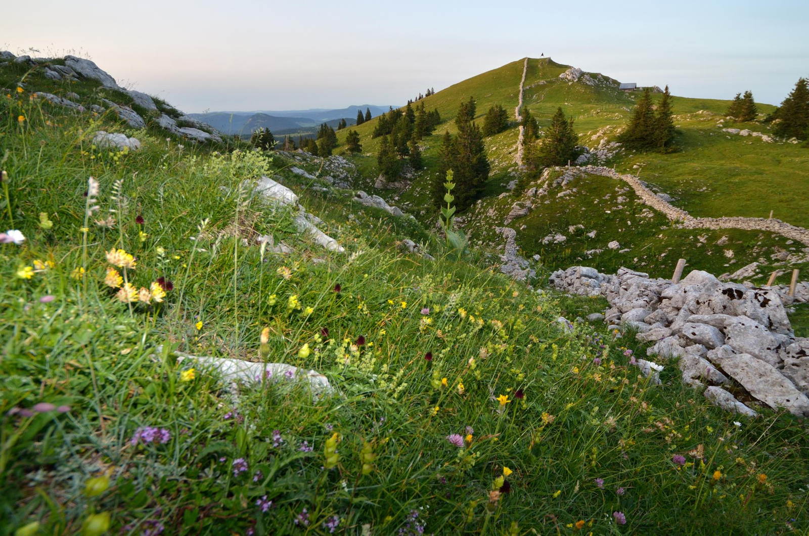 course verticale du mont-tendre